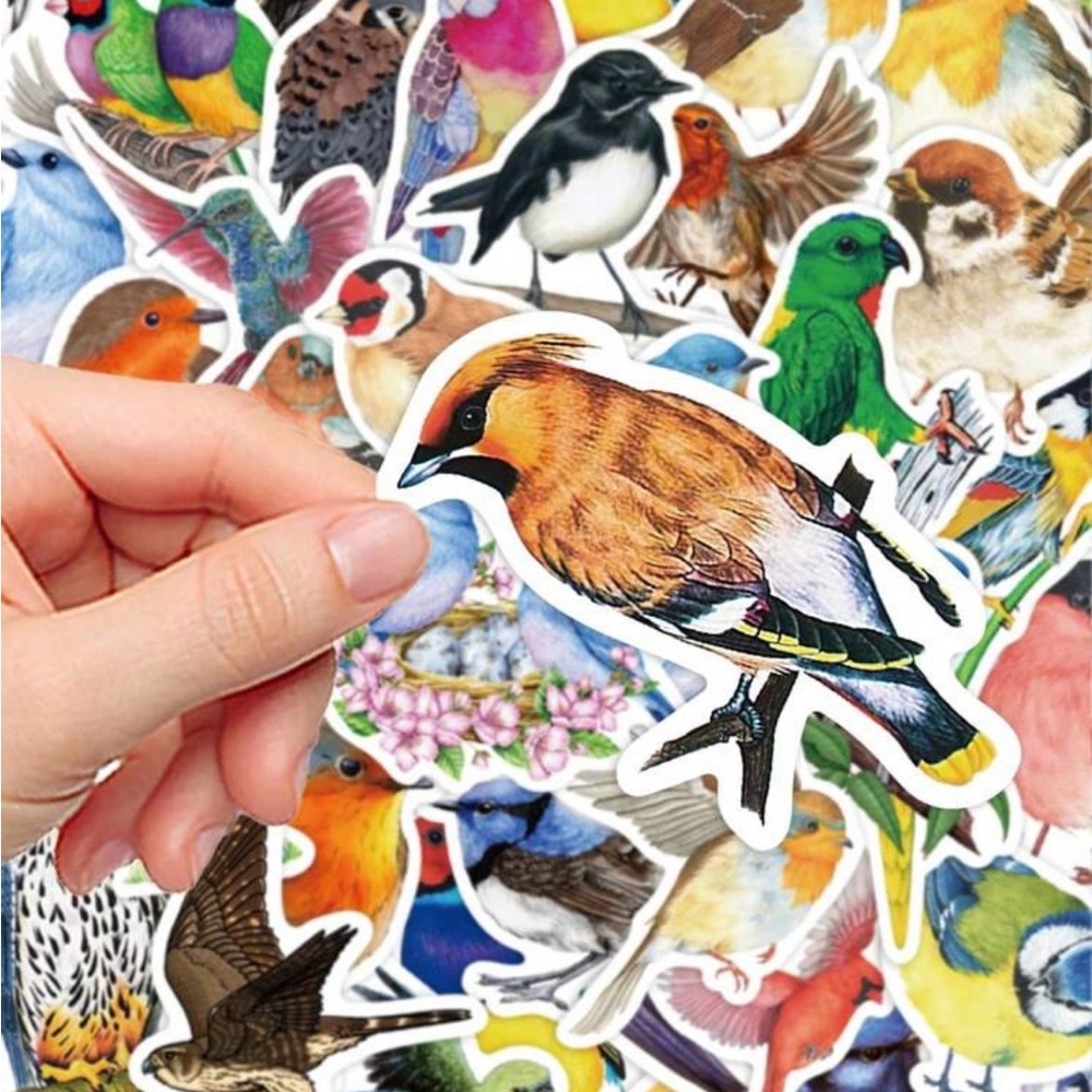 50 Colorful Bird Stickers - Picture 6 of 9